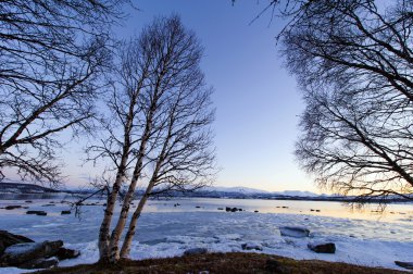Sahil Norveç Denizi reddedebilir