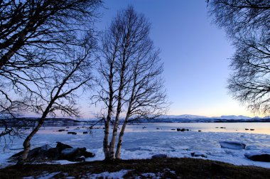 Sahil Norveç Denizi reddedebilir