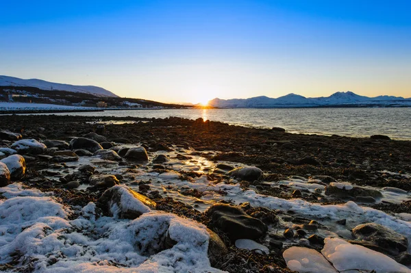 Zima, rośnie. Tromso — Zdjęcie stockowe