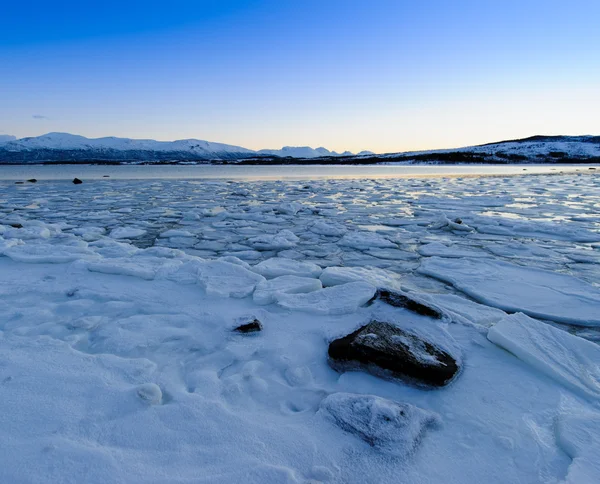 Sahil Norveç Denizi reddedebilir — Stok fotoğraf