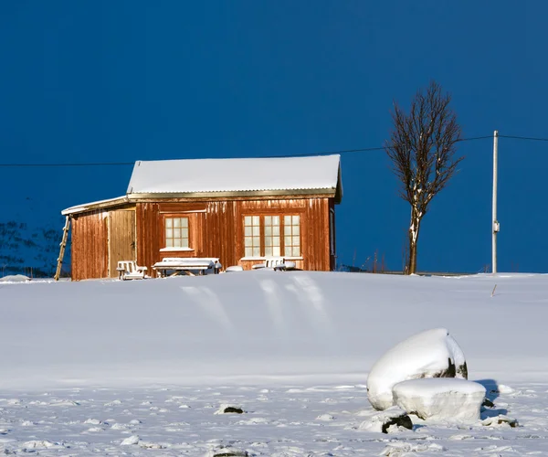 Hozený samotu. Pobřeží norského moře — Stock fotografie