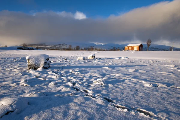 Costa del Mar de Noruega — Foto de Stock