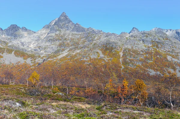 A hegyekben, Norvégia — Stock Fotó