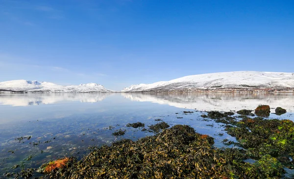 Coast of the Norwegian Sea — Stock Photo, Image