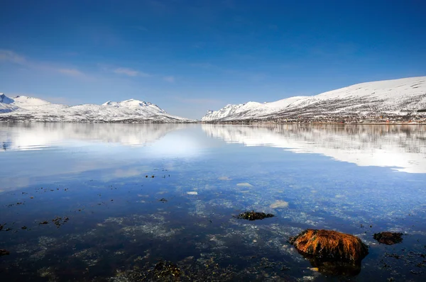 ノルウェー海の海岸 — ストック写真