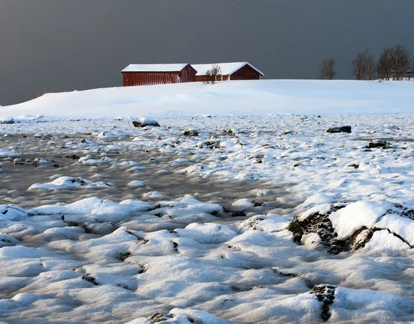 Norveç Denizi kıyısında — Stok fotoğraf