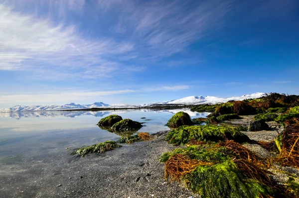 Coast of the Norwegian Sea Stock Picture