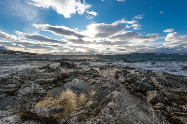 ノルウェー海の海岸 — ストック写真