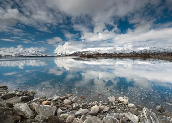 Norveç Denizi kıyısında — Stok fotoğraf