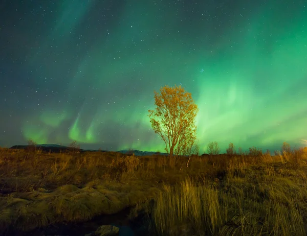 Le luci polari in Norvegia — Foto Stock