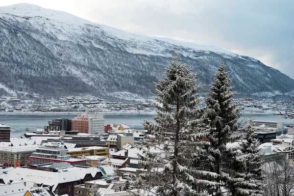 Panoramautsikt över Tromsö, Norge Stockfoto