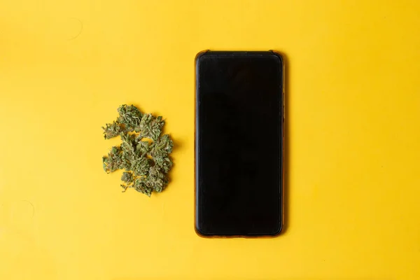 携帯電話の隣にあるマリファナは医薬品のオンライン販売をコンセプトに — ストック写真