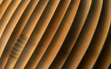 Ahşap kalasların soyut arkaplanı, içeriden açılı ve aydınlatılmış..