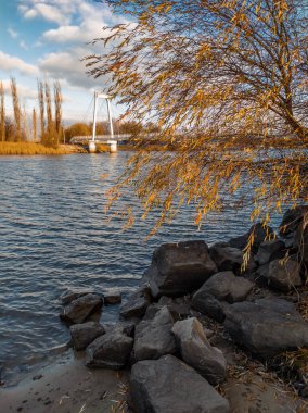 Küçük bir nehrin kayalık kıyısında kısmen dökülen yapraklarla söğüt. Kümülüs bulutları ve arkadan adaya giden köprü. Sonbahar manzarası.