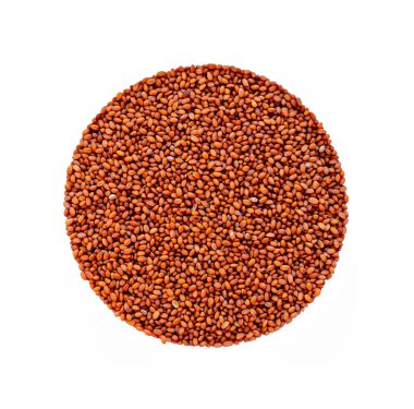 Camelina sativa 'nın bir çember şeklinde izole edilmiş tohumu. Deve yağı üretimi için ham madde. Tarım ürünlerinin yağ tohumları. Tohumların üst görünümü.