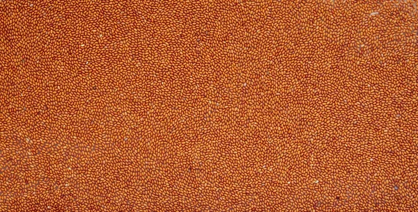 Camelina Sativa Nın Tohumlarından Geliyor Deve Yağı Üretimi Için Ham — Stok fotoğraf