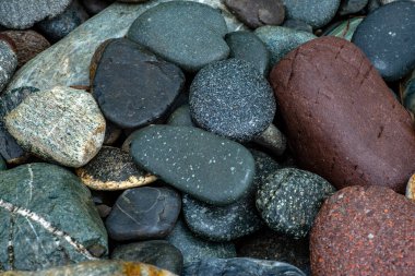 Çok renkli güzel taşların soyut arkaplan dokusu. Güzel ıslak çakıl taşları.