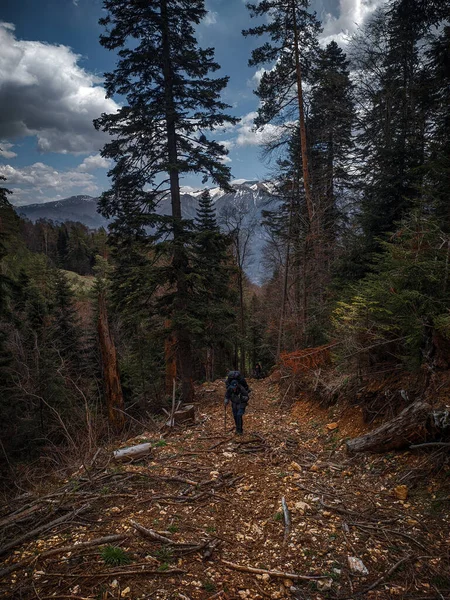 Muž Batohem Šplhá Pěšině Lesích Kopci Turistika Lese — Stock fotografie