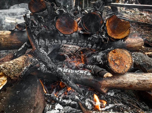 Oheň Přírodě Spalování Dřeva Rozdělat Ohně Pro Vaření Ohřívání Túrách — Stock fotografie