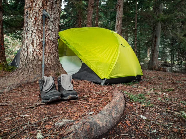 Lese Pod Borovicemi Stál Jasně Zelený Stan Trekingový Stan Během — Stock fotografie