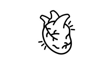 İnsan kalbi anatomisini gösteren görsel bir çizgi canlandırma simgesi
