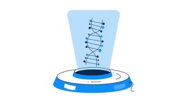 DNA testinin bu yarım yamalak animasyonuna bir bakın.