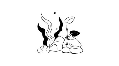 Baloncuklar ve mercanlarla çevrili güzel bir sualtı çiçeği.