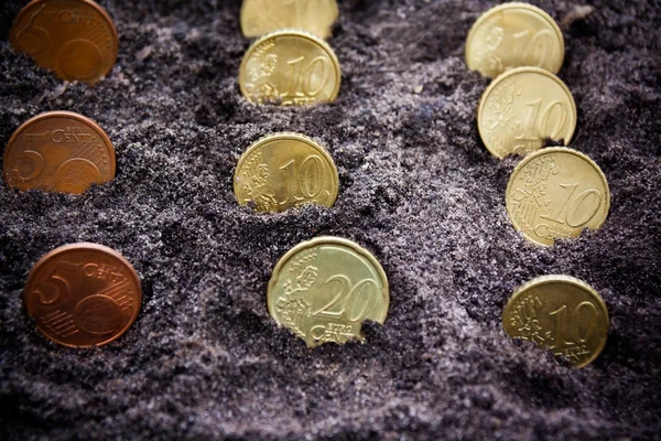 Ilość pieniądza w gospodarce. Monety euro cent, wyrastające z ziemi. Selektywny fokus — Zdjęcie stockowe
