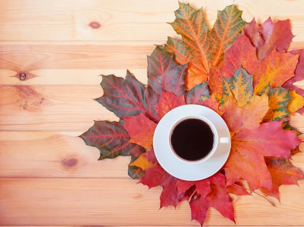 Coloridas Hojas Arce Otoño Una Taza Café Concepto Relajante Vista — Foto de Stock