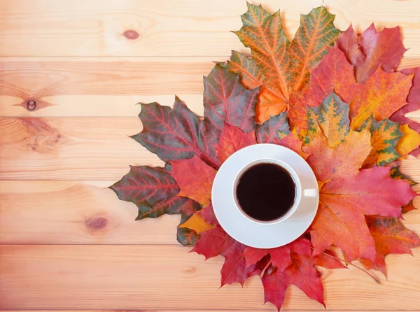 秋天多彩的枫叶和一杯咖啡 放松点顶部视图 复制空间 图库照片