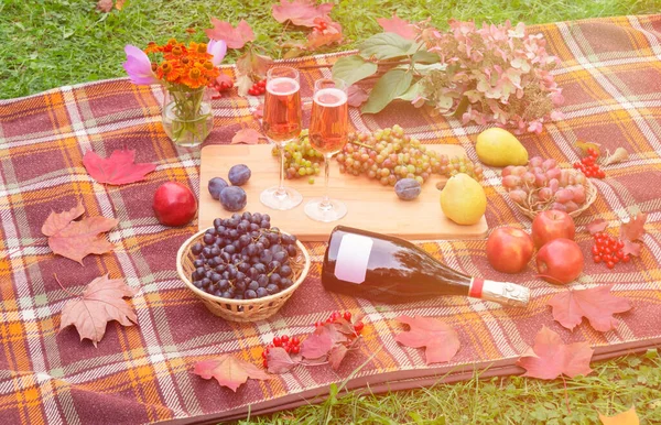 Pique Nique Automne Plein Air Avec Verres Bouteille Champagne Rose — Photo