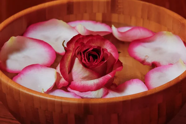 Pétalas de rosa e rosas em tigela com água — Fotografia de Stock
