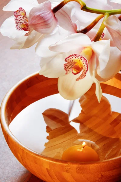 Branch of white orchid in bowl — Stock Photo, Image