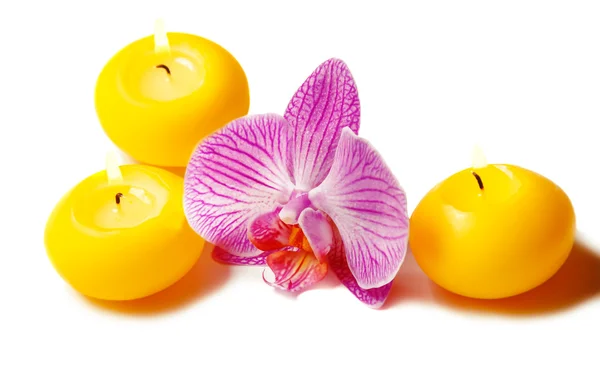Orchide flower and candles — Stock Photo, Image