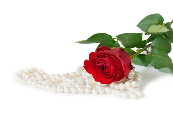 Rosa rossa con collana di perle bijouterie su sfondo bianco . — Foto Stock