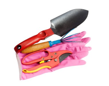 Bahçecilik araçları beyaz üzerine izole.