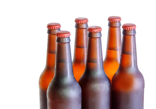 Beer bottles isolated. Selective focus — Stock Photo, Image