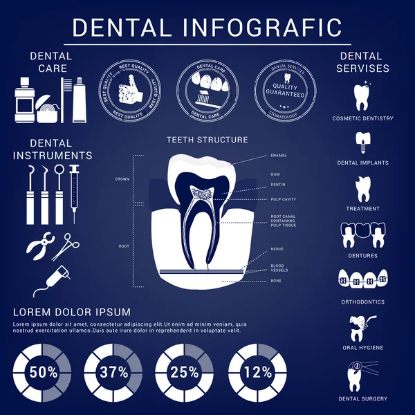 Zuby a zubní péče infografics. — Stockový vektor