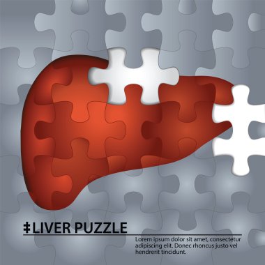 Puzzle parçaları gelen karaciğer