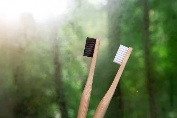 Escovas Dentes Bambu Fecham Contexto Natureza Bokeh Verde Materiais Biodegradáveis — Fotografia de Stock