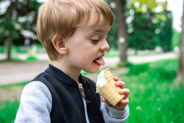 Chico Tiene Mano Come Helado Parque Verano Hierba Verde Árboles —  Fotos de Stock