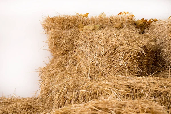 Стопки Сена Сложенные Амбаре Harvest — стоковое фото