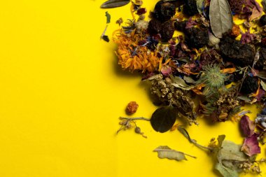 Sarı arka planda el sanatları çantasından bitkisel koleksiyon döküldü. Yapraklardan, çiçeklerden ve böğürtlenlerden tıbbi çay. mesaj için yer. yakın plan