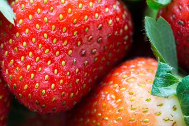 Makro atış taze çilek