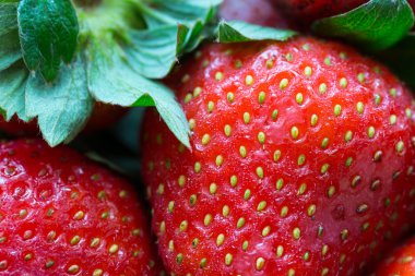 Makro atış taze çilek