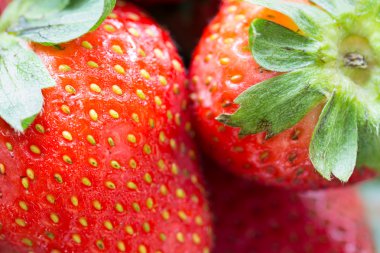 Makro atış taze çilek