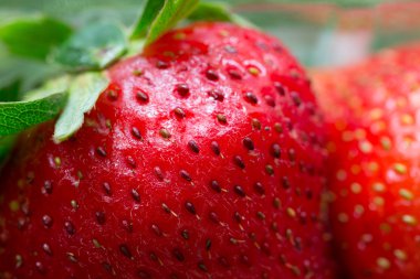 Makro atış taze çilek