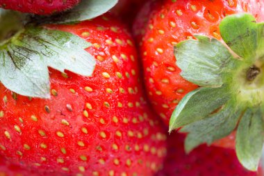 Makro atış taze çilek