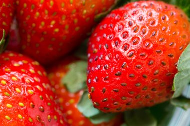 Makro atış taze çilek