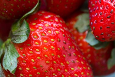 Makro atış taze çilek